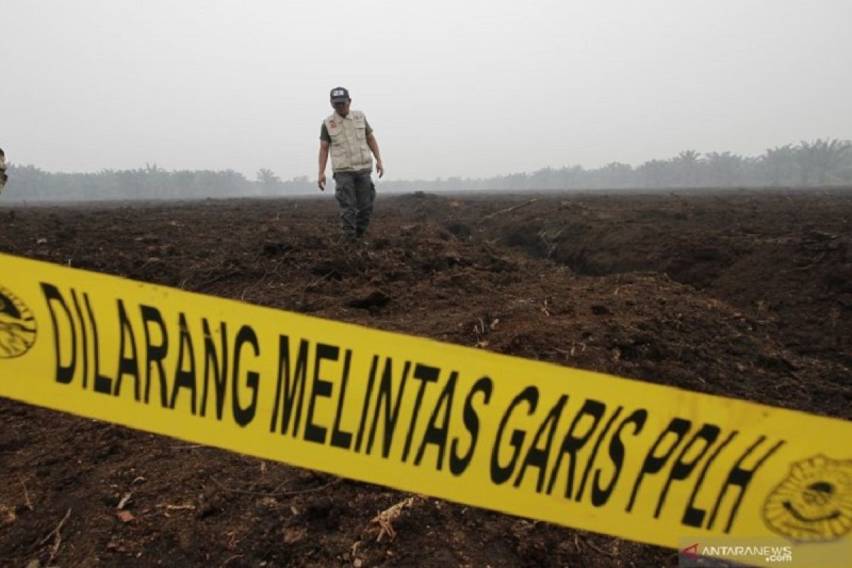 Karhutla Riau - Tersangka Penyebab kebakaran hutan dan lahan bertambah jadi 179 orang, terbanyak di Kalbar