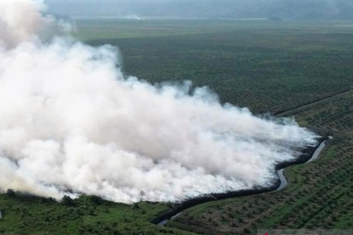 Satgas Karhutla tenggelamkan lahan gamut yang terbakar