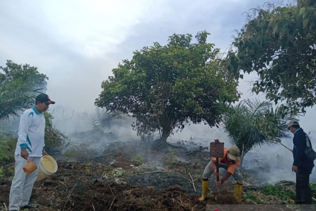 Aparat memadamkan kebakaran lahan sawit di Mukomuko