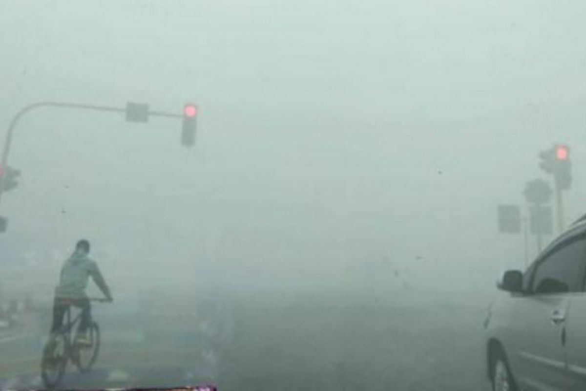 Paser District in East Kalimantan shrouded by thick smog