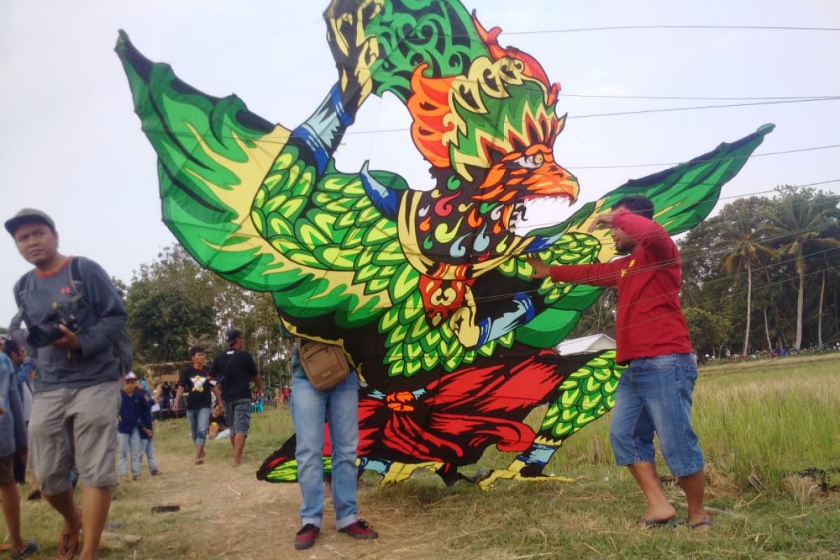 Kaum milenial diajak kembali ke sawah melalui Festival Layang-layang Ngaran 2019