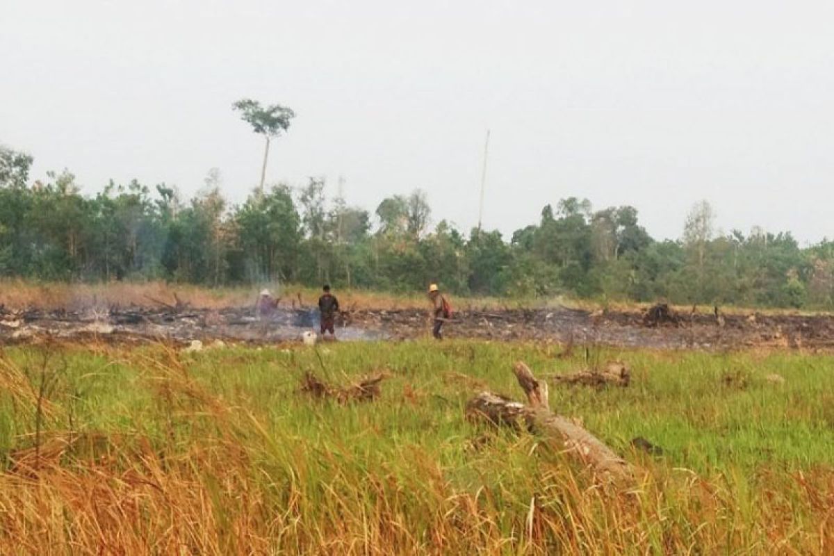 Tiga warga Kotawaringin Timur ditangkap polisi diduga membakar lahan