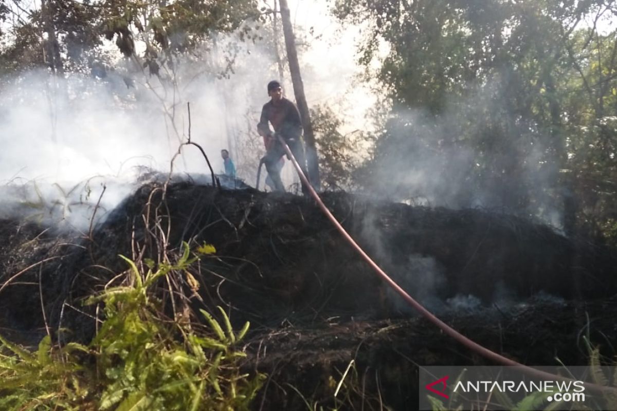 Kebakaran hanguskan tanaman karet warga Rejang Lebong