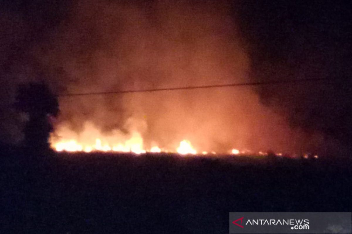 Kebakaran lahan di Pondok Kelapa diduga untuk membersihkan kebun