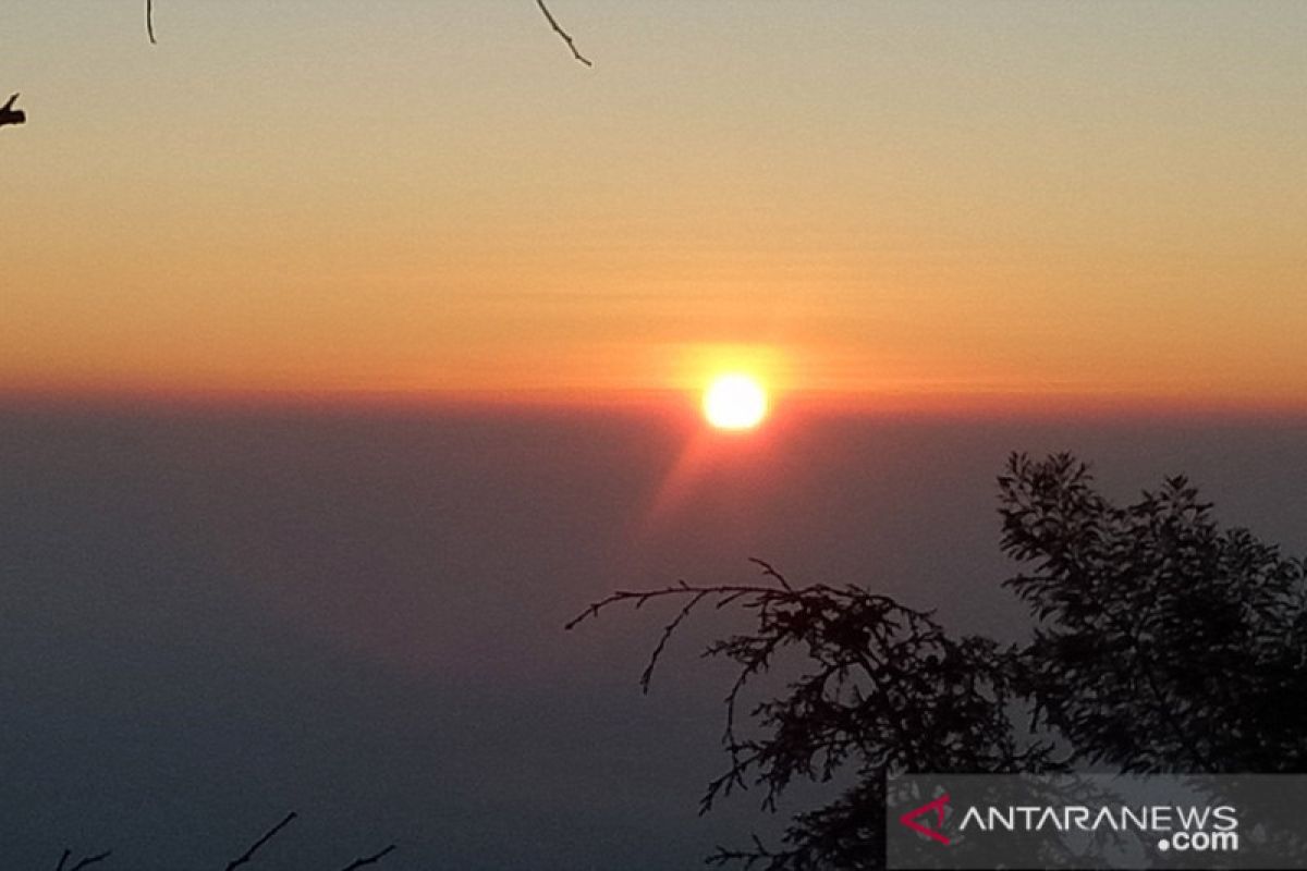 Mengintip Sang Surya muncul dari Bukit Sikunir (Video)