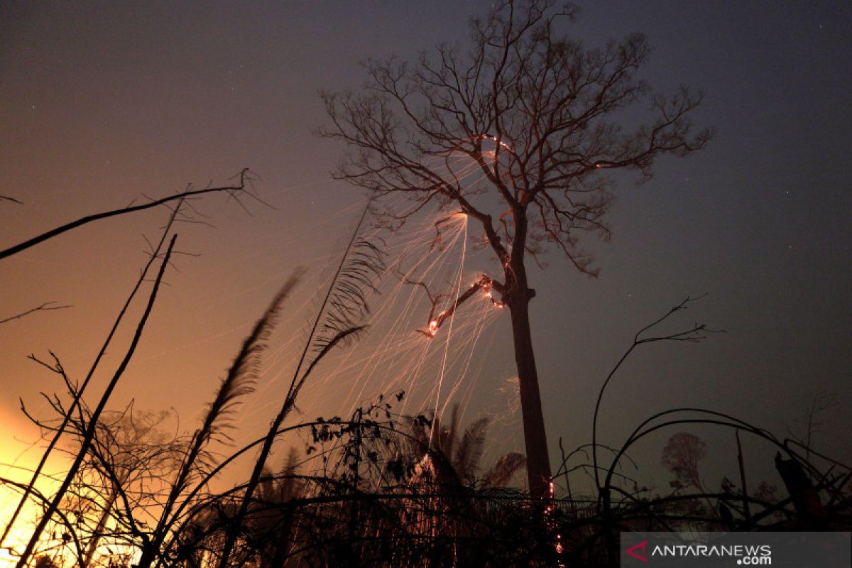 Kebakaran di hutan Amazon Brazil berkurang pada September