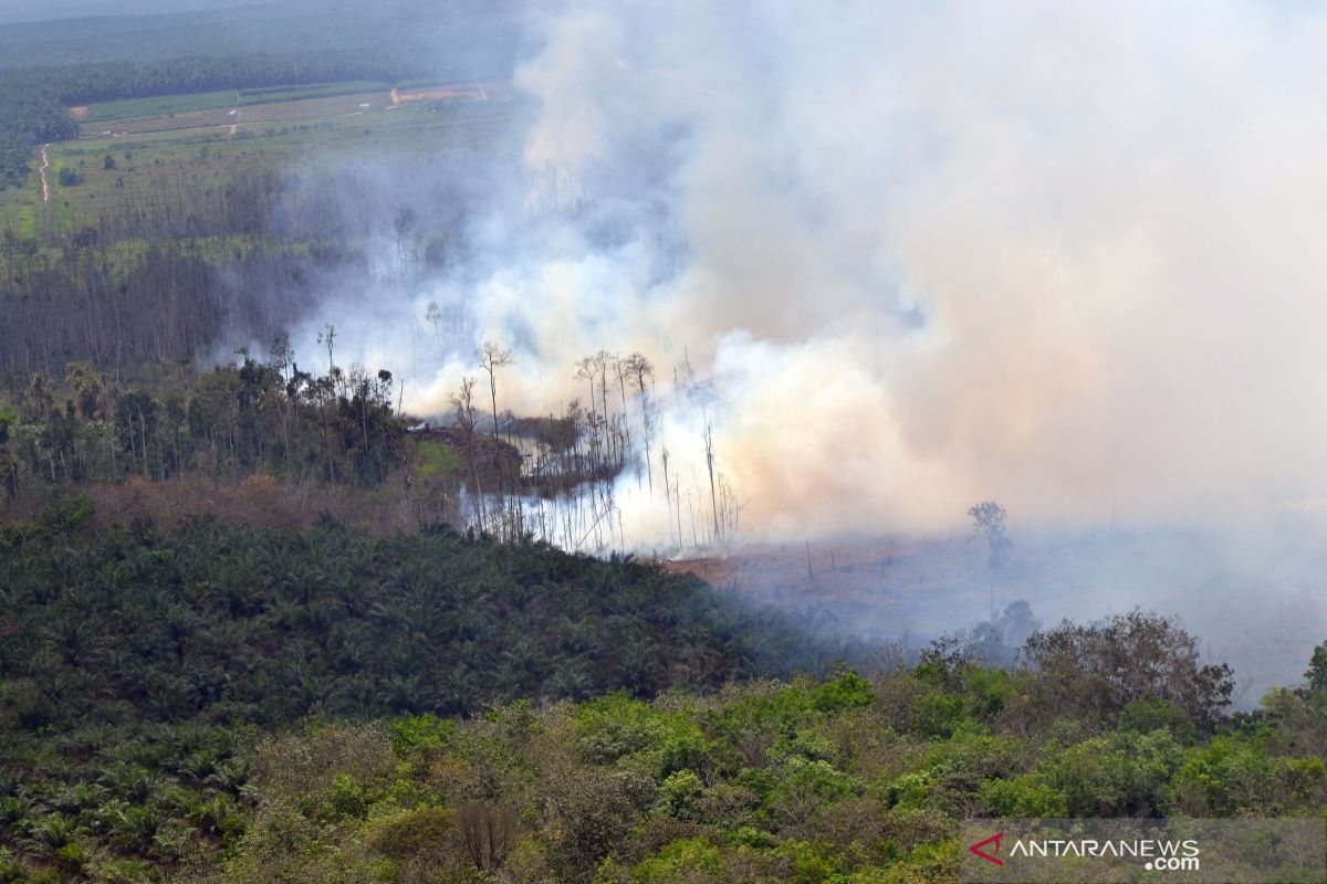 Pemerintah gerak cepat tanggulangi kebakaran hutan di Riau