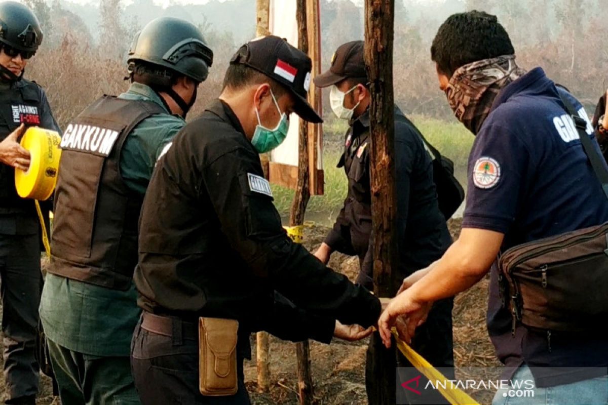 Gubernur tak miliki kewenangan mencabut izin korporasi perkebunan di Kalteng
