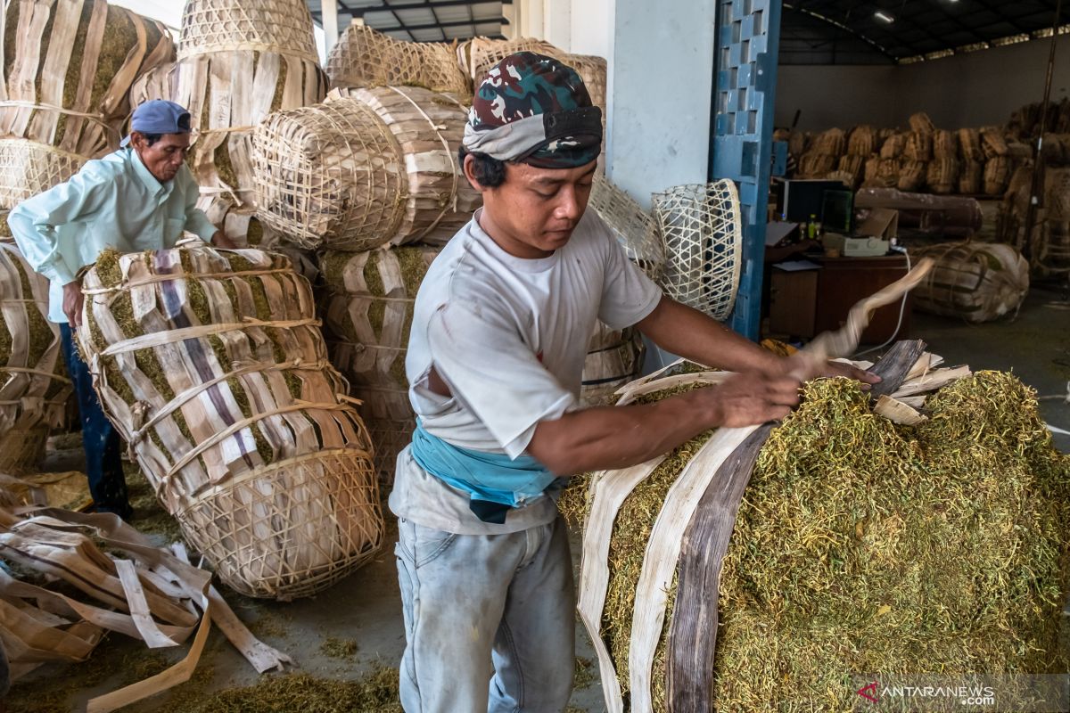 Indef nilai rencana kenaikan tarif tembakau tidak efektif