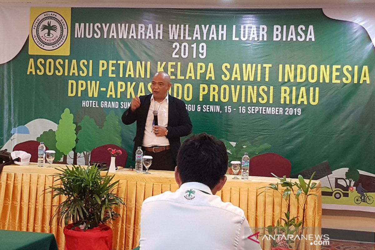 Asosiasi petani sawit Riau sepakat musuhi pembakar lahan, begini penjelasannya