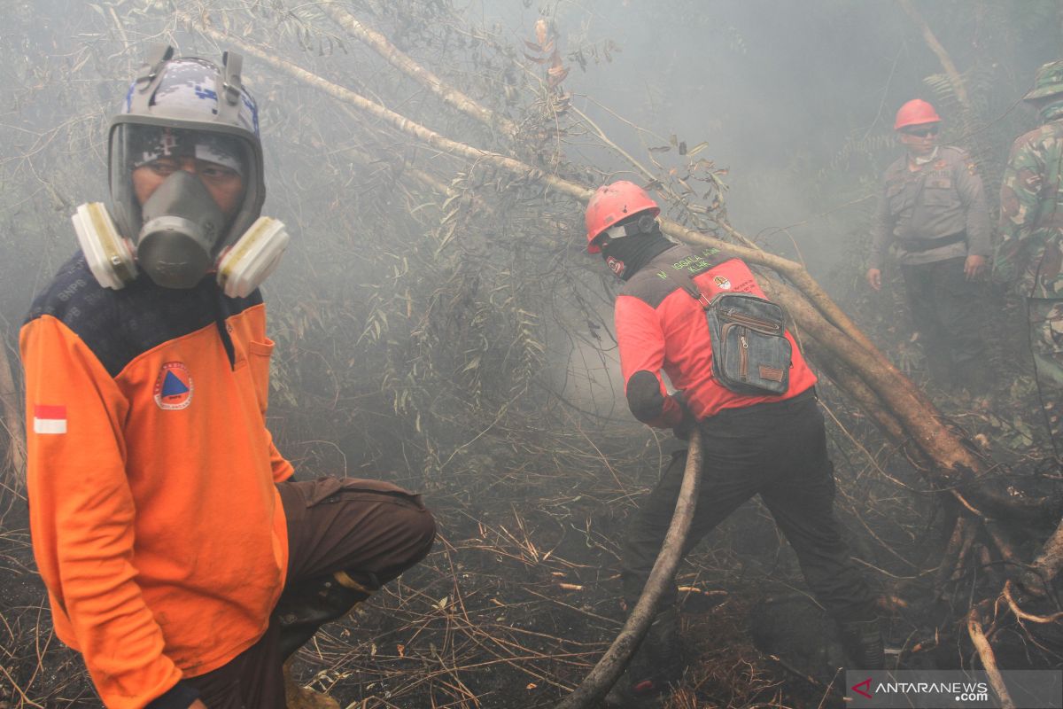 Anies kirim bantuan, Satgas Karhutla Riau: Kami belum butuh personel dari Jakarta