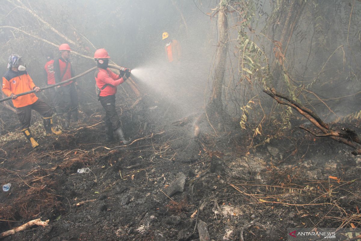 Karhutla Riau, Satgas belum butuh bantuan personel kiriman Anies