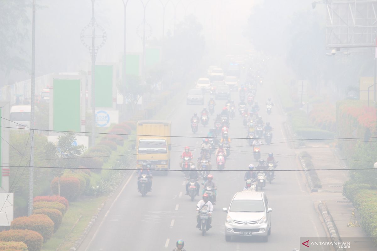 Kabut asap kian pekat, tingkat hunian hotel Kalimantan Barat anjlok