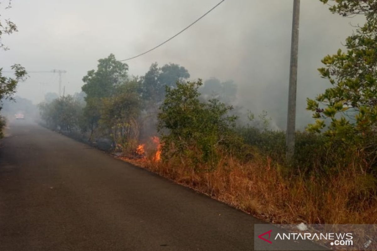 Lima hektare hutan di kawasan wisata alam Belitung terbakar