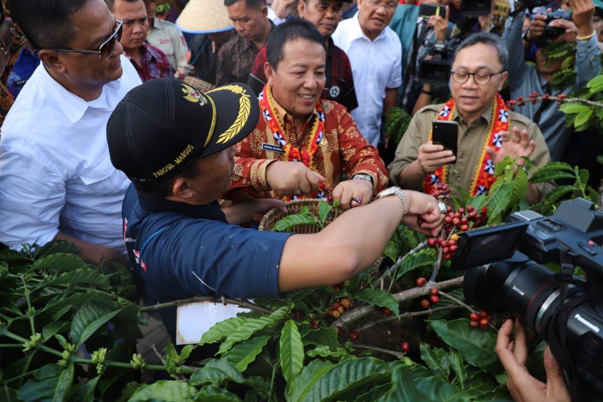 Gubernur Arinal menginginkan PTPN VII kembangkan komoditas kopi