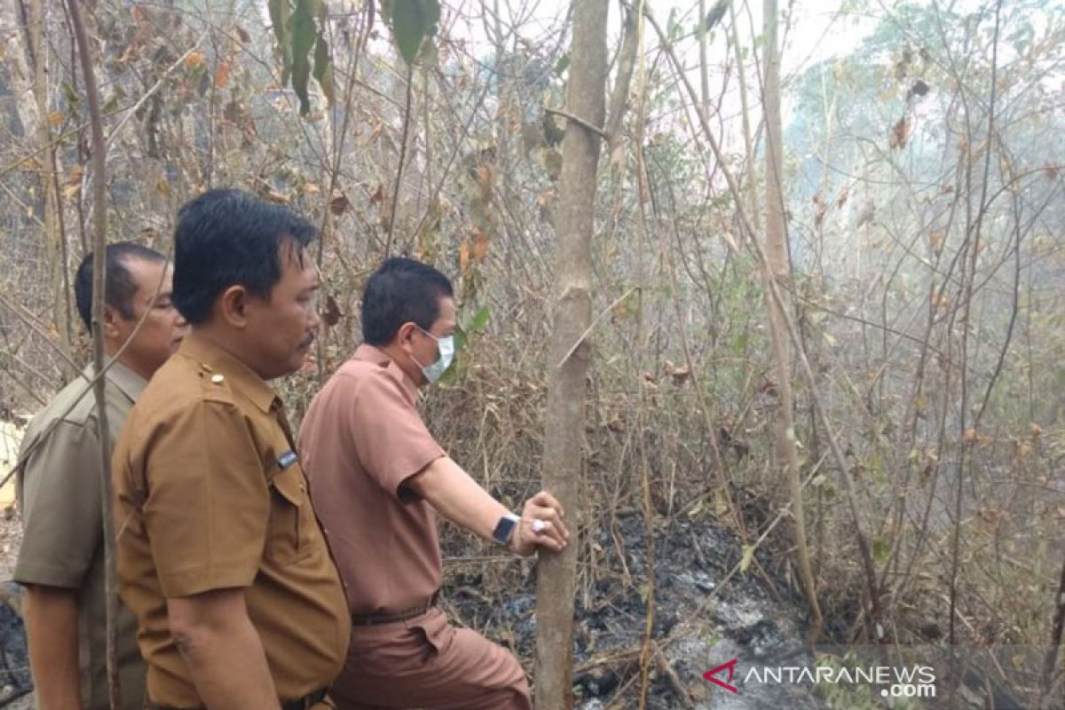 Bupati Batanghari tinjau Karhutla di Tahura