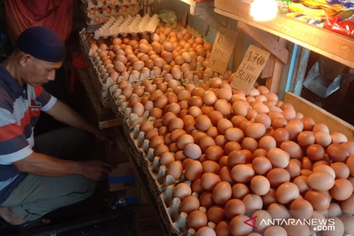 Harga telur ayam ras dan daging ayam beku di Ambon turun