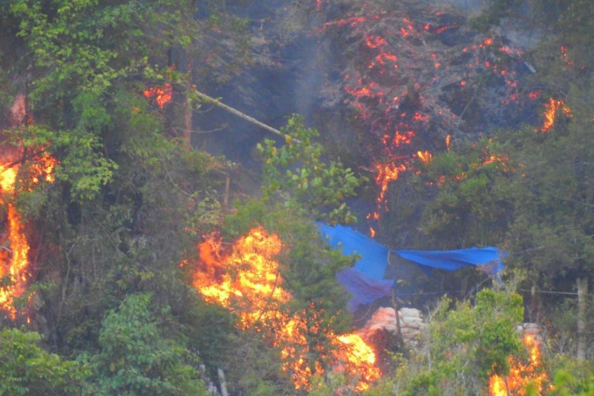 Kawasan hutan di Suwawa Timur-Bone Bolango terbakar