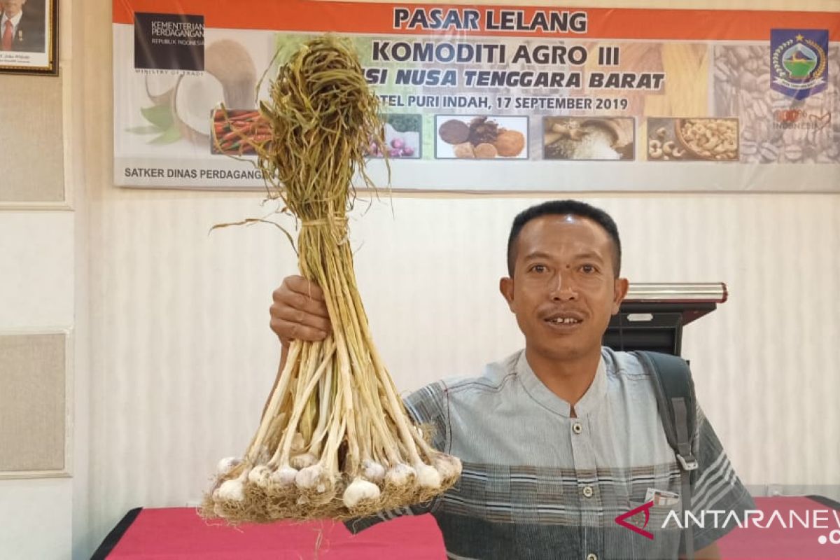 NTB mulai menerapkan pasar lelang komoditas agro sistem daring