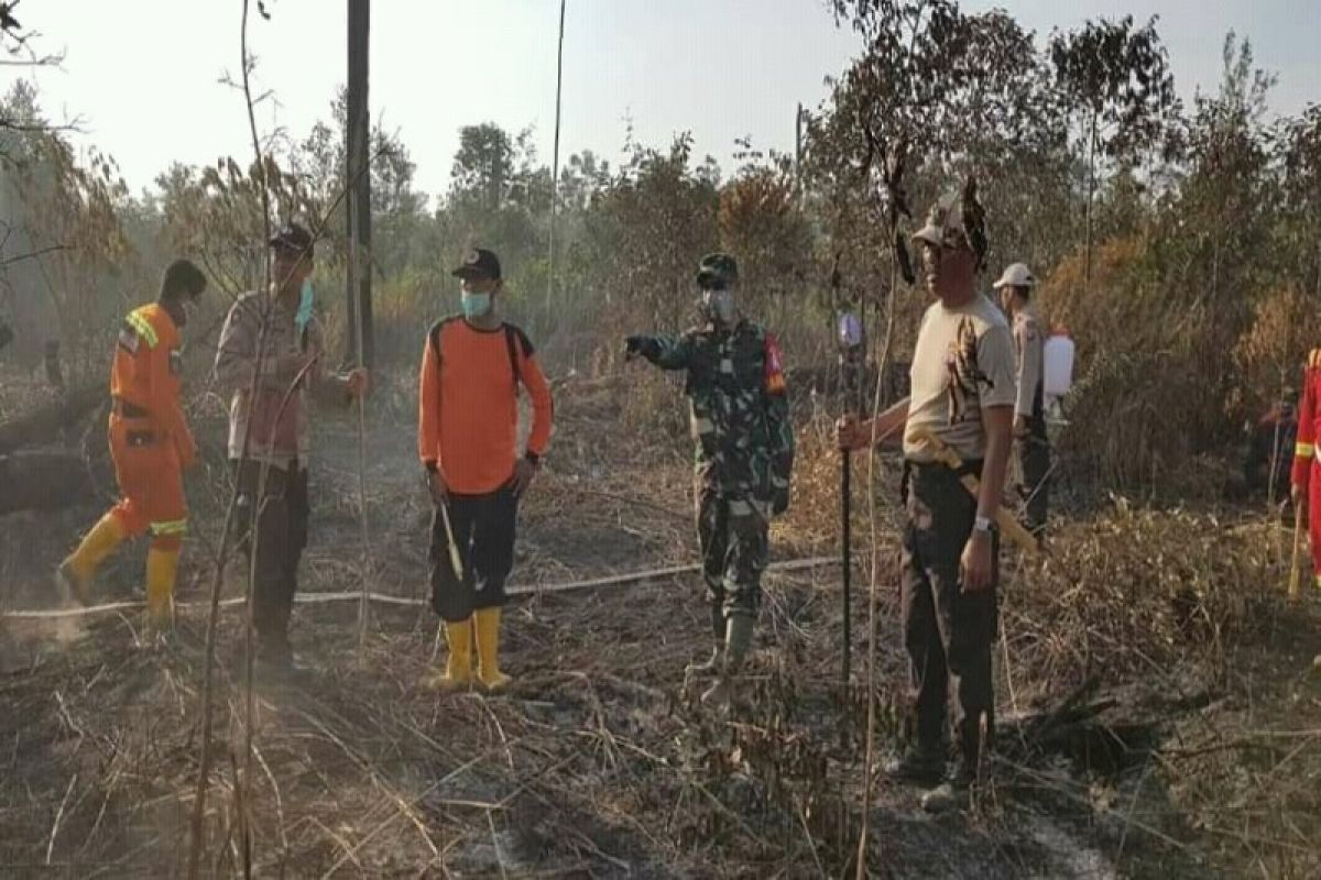 Ketebalan lahan gambut dan asap kiriman jadi perhatian Pemkab Barsel