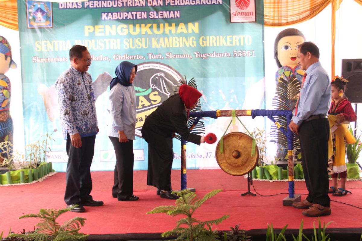 Girikerto sentra susu kambing di Sleman