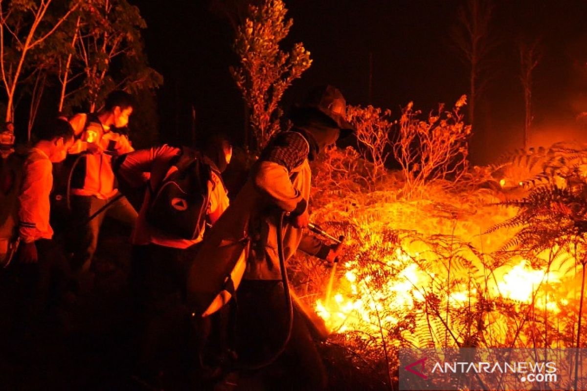 Ratusan Hektare Hutan dan Lahan Terbakar di Kutai Barat