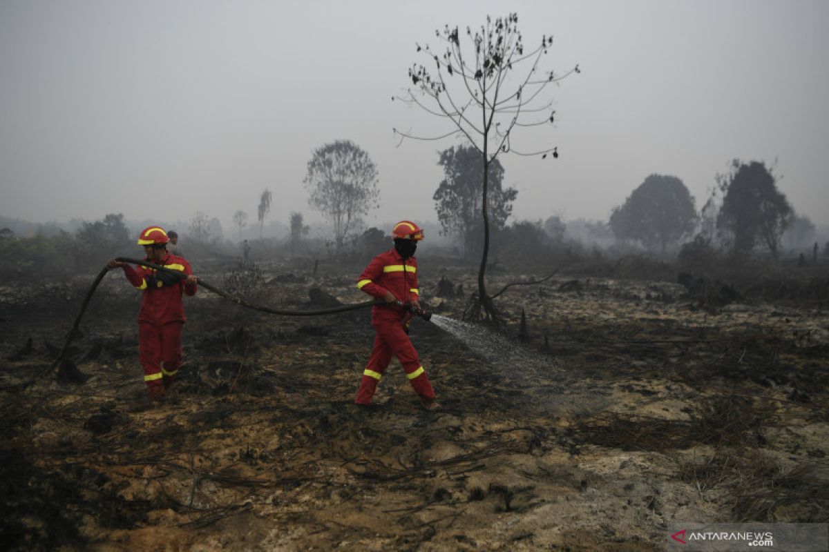 Kebakaran Hutan-lahan Membayangi Riau Pada Masa Pancaroba - ANTARA News