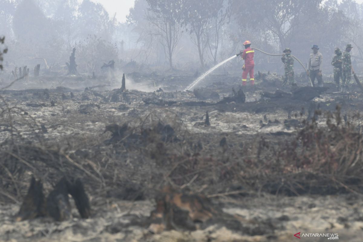 Greenpeace: KTT ASEAN momen tepat atasi masalah asap lintas batas