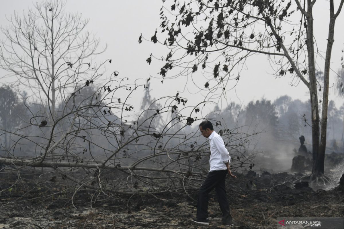 Status siaga darurat karhutla Riau berakhir, begini luas kebakarannya