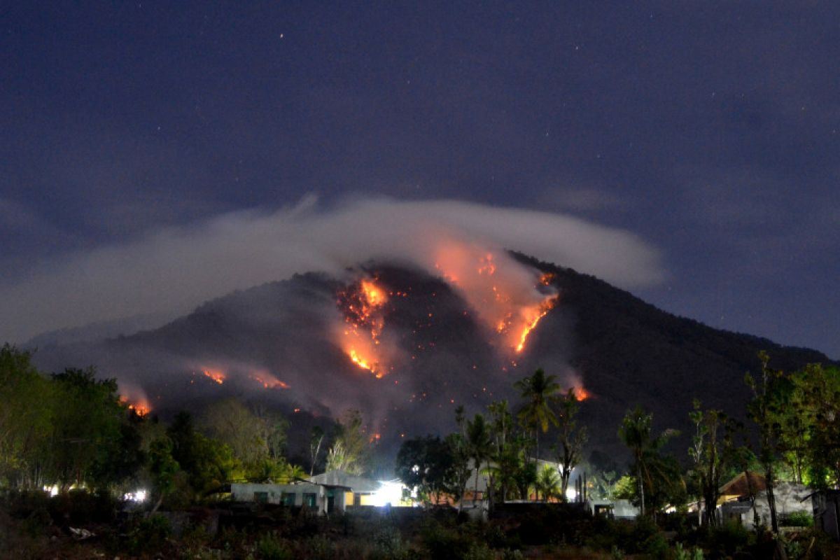 Kebakaran hutan dan lahan melanda Gunung Ile Mandiri Flores Timur