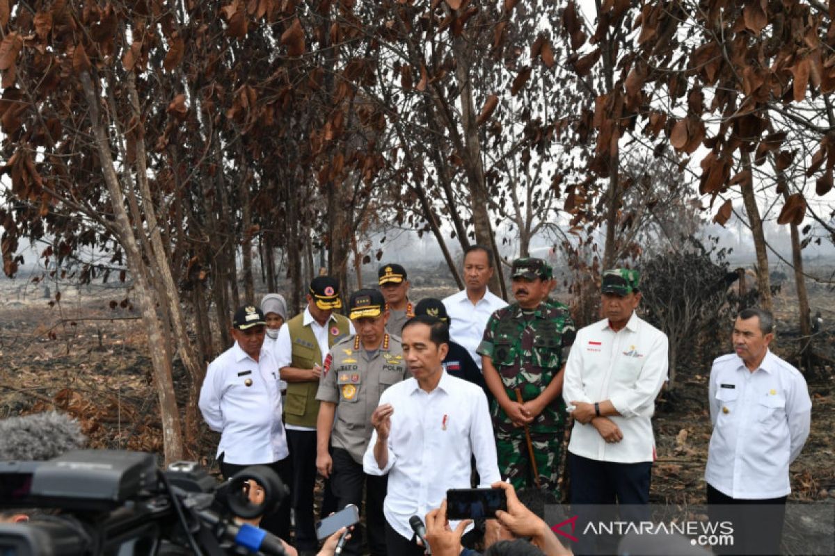Presiden Jokowi tegaskan pentingnya upaya pencegahan Karhutla
