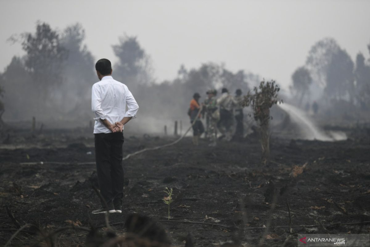 Presiden Jokowi khawatir penggantian pejabat pengaruhi penanganan karhutla