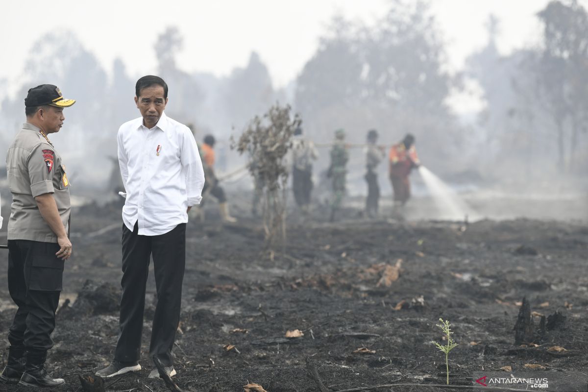 Presiden minta seluruh pihak antisipasi karhutla