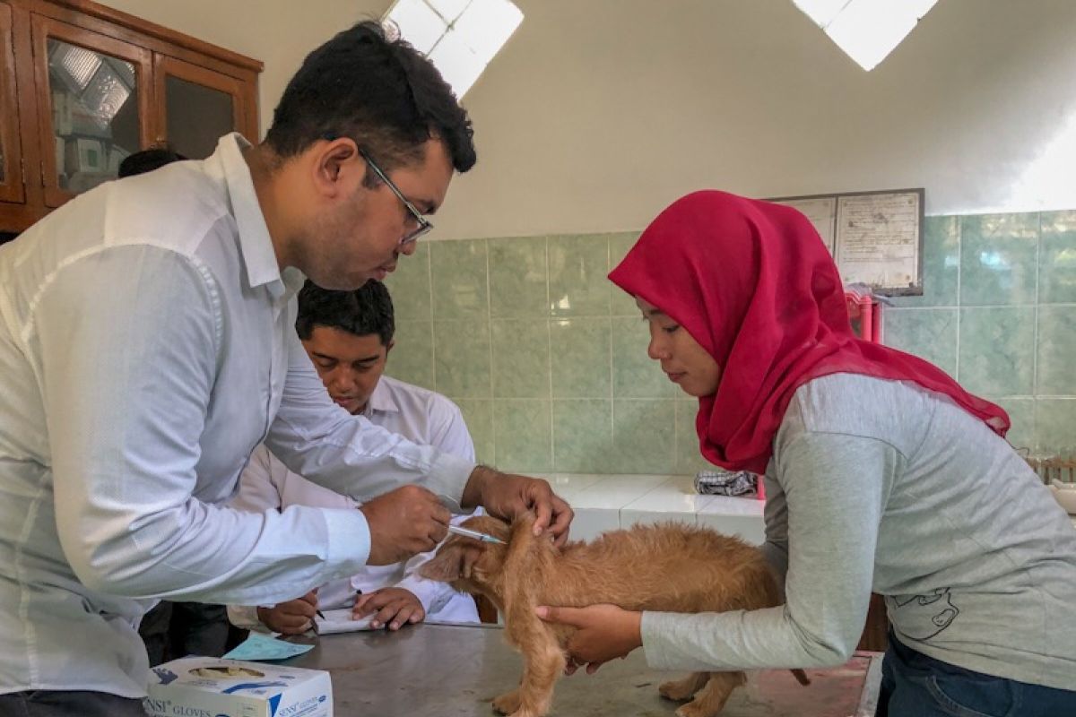 Yogyakarta menggencarkan vaksinasi rabies