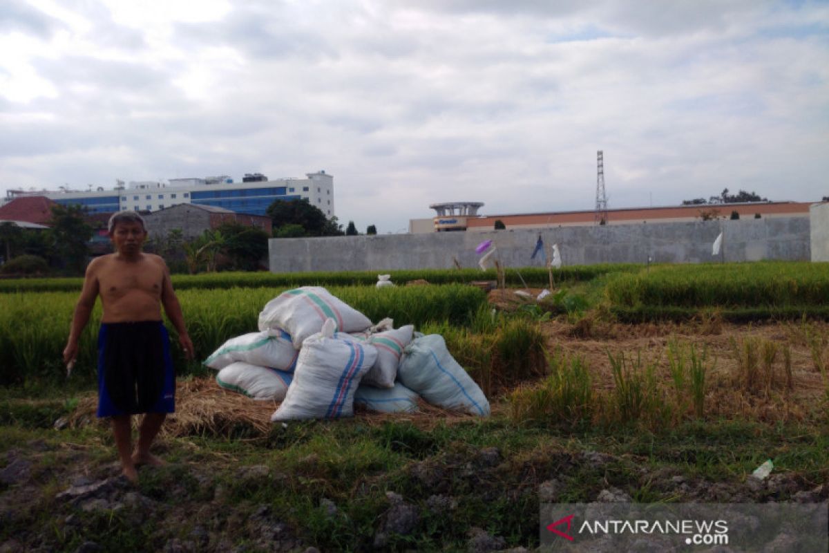 Pemkab Sleman rehabilitasi irigasi dongkrak produksi pertanian