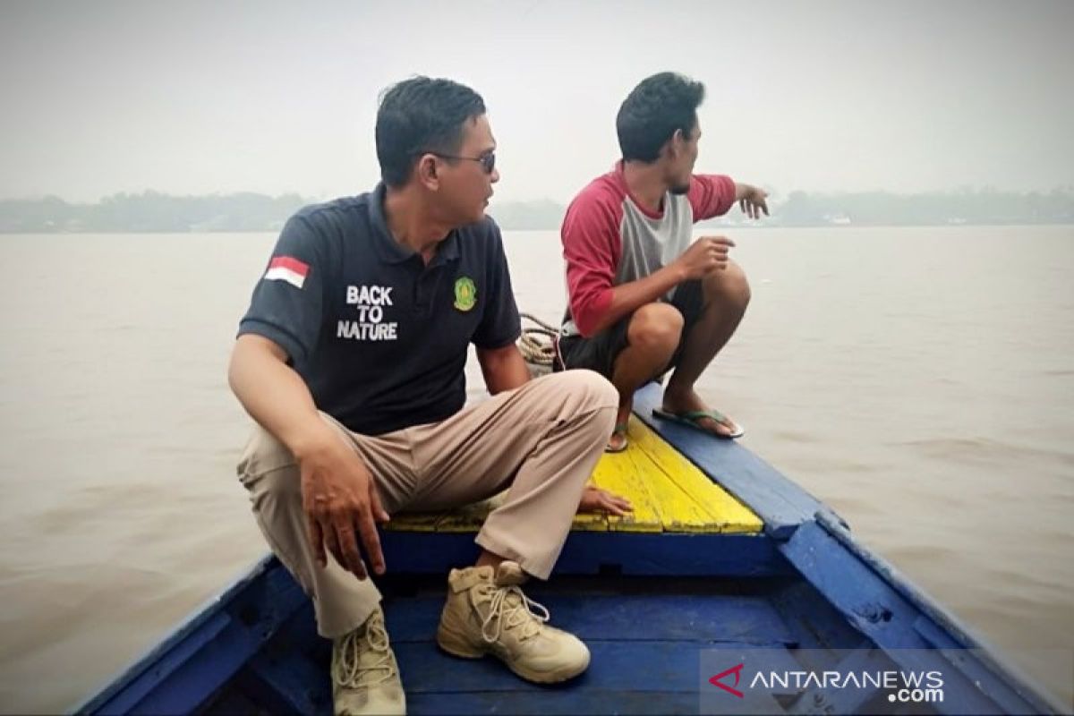 Buaya Sungai Mentaya Kalteng menyasar perairan pusat kota