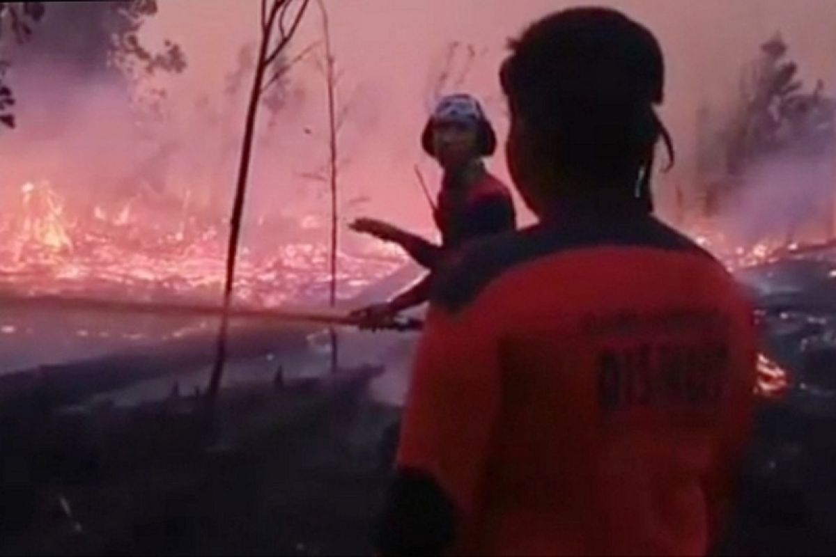 Palangka Raya government to fund wildfire emergency budget