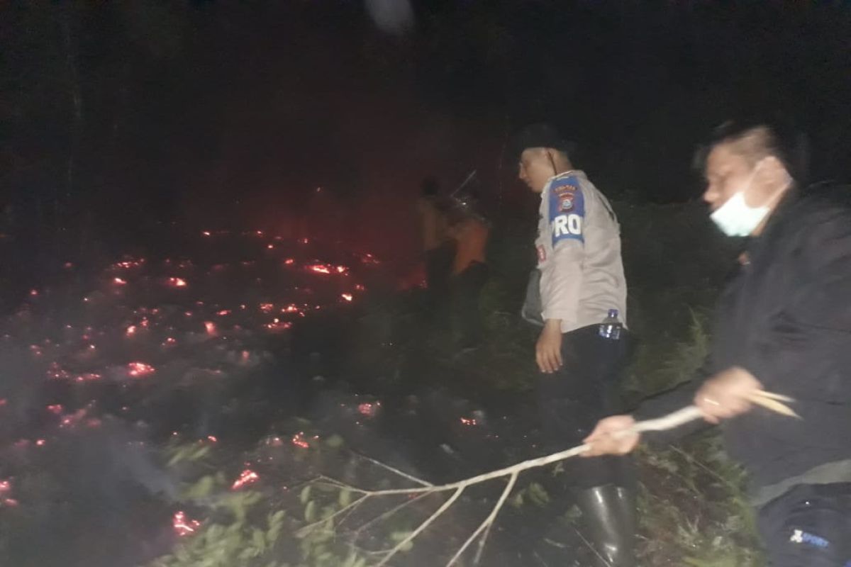 15 hektare lahan di Tapteng terbakar