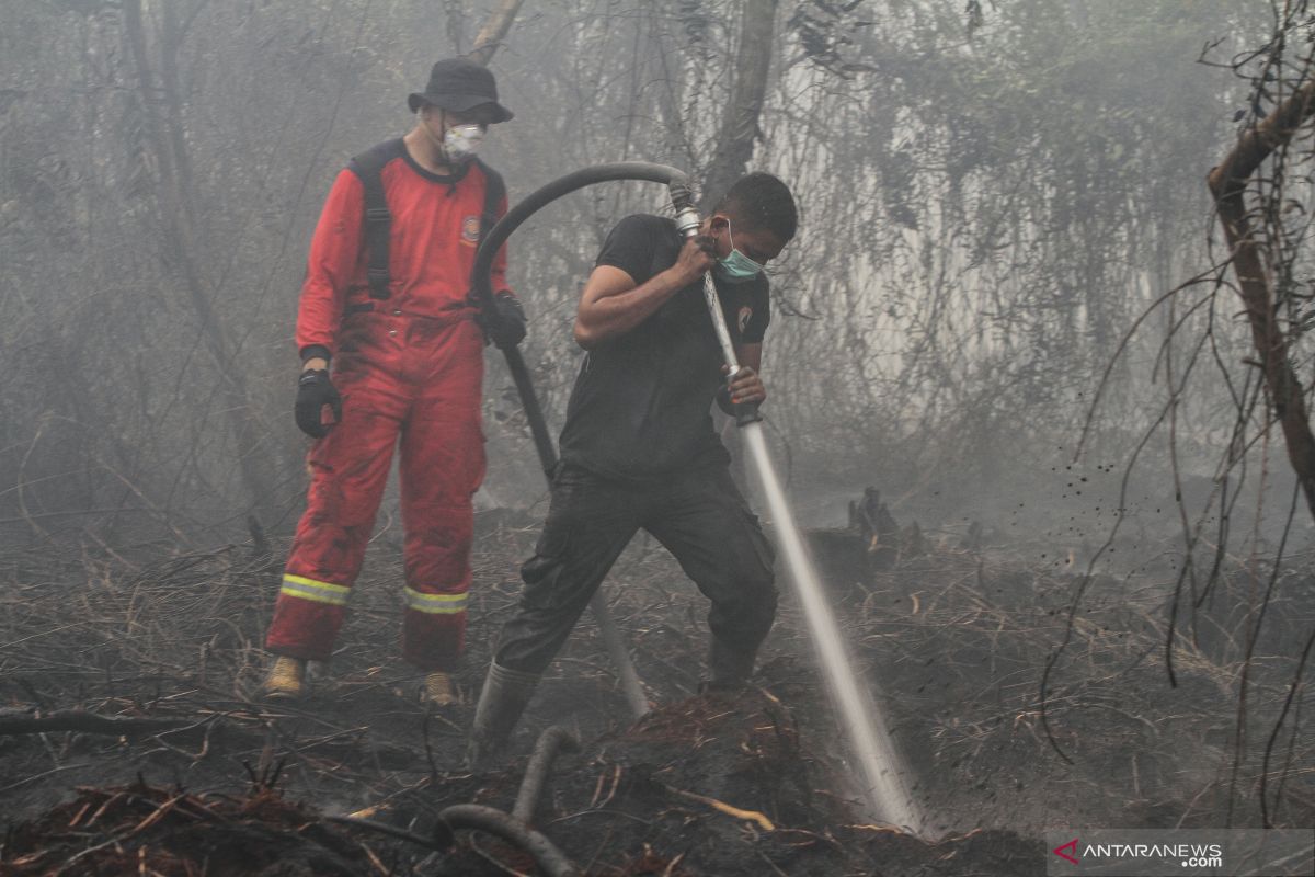 Akibat asap karhutla, Riau diperkirakan alami kerugian Rp50 triliun