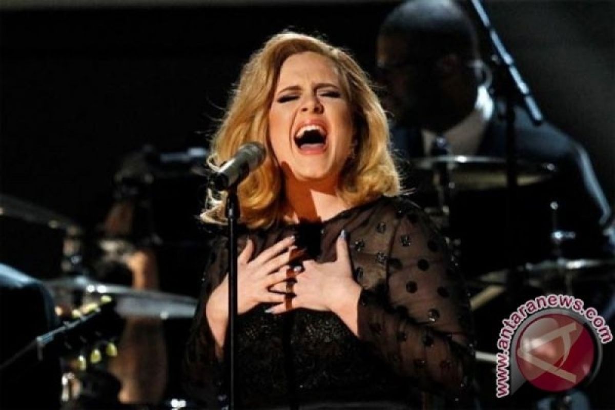 Permintaan Adele kepada penggemar yang ikut aksi Floyd