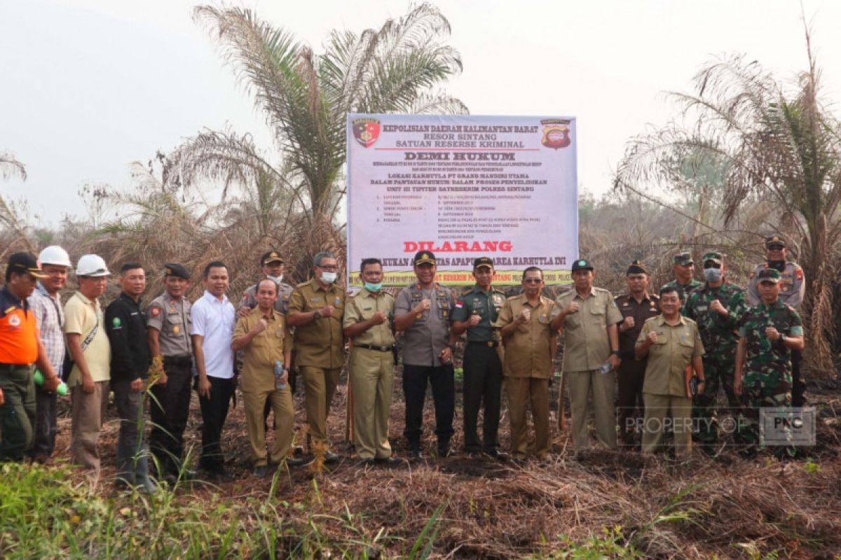 Kasus karhutla, Polda Kalbar segel dua lahan kebun sawit