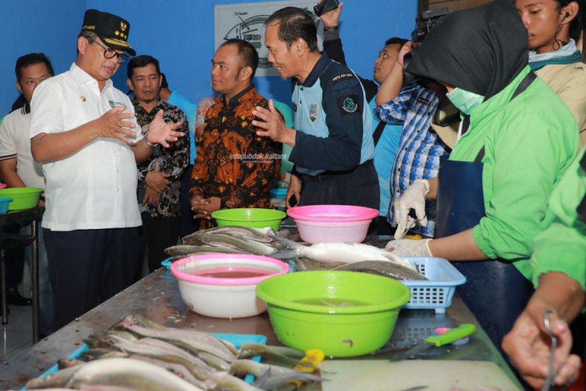 Pemprov Kaltara usulkan bangun gudang beku untuk perikanan