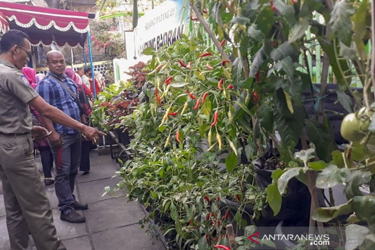 Yogyakarta gencar kembangkan Lorong Sayur dan Lele Cendol