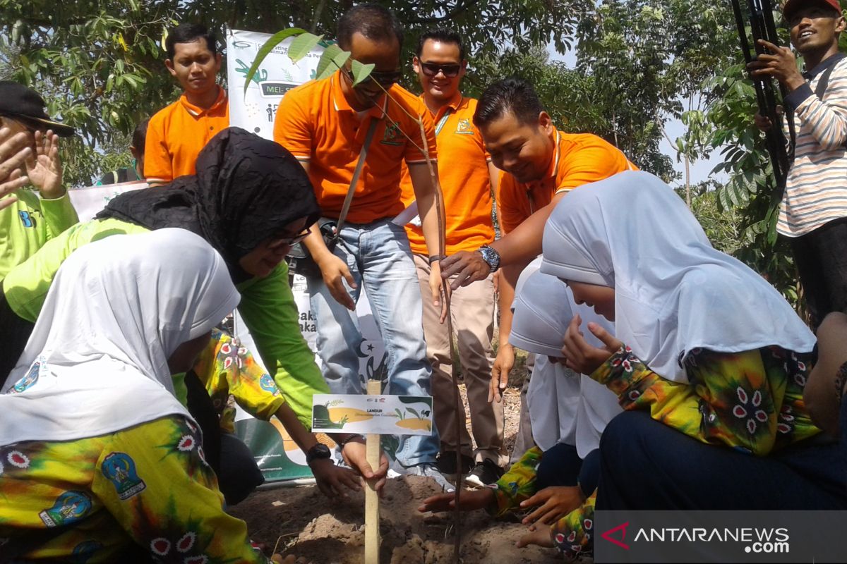 Pelajar SMPN 1 Binuang tanam 25 jenis bibit pohon langka hutan Kalimantan