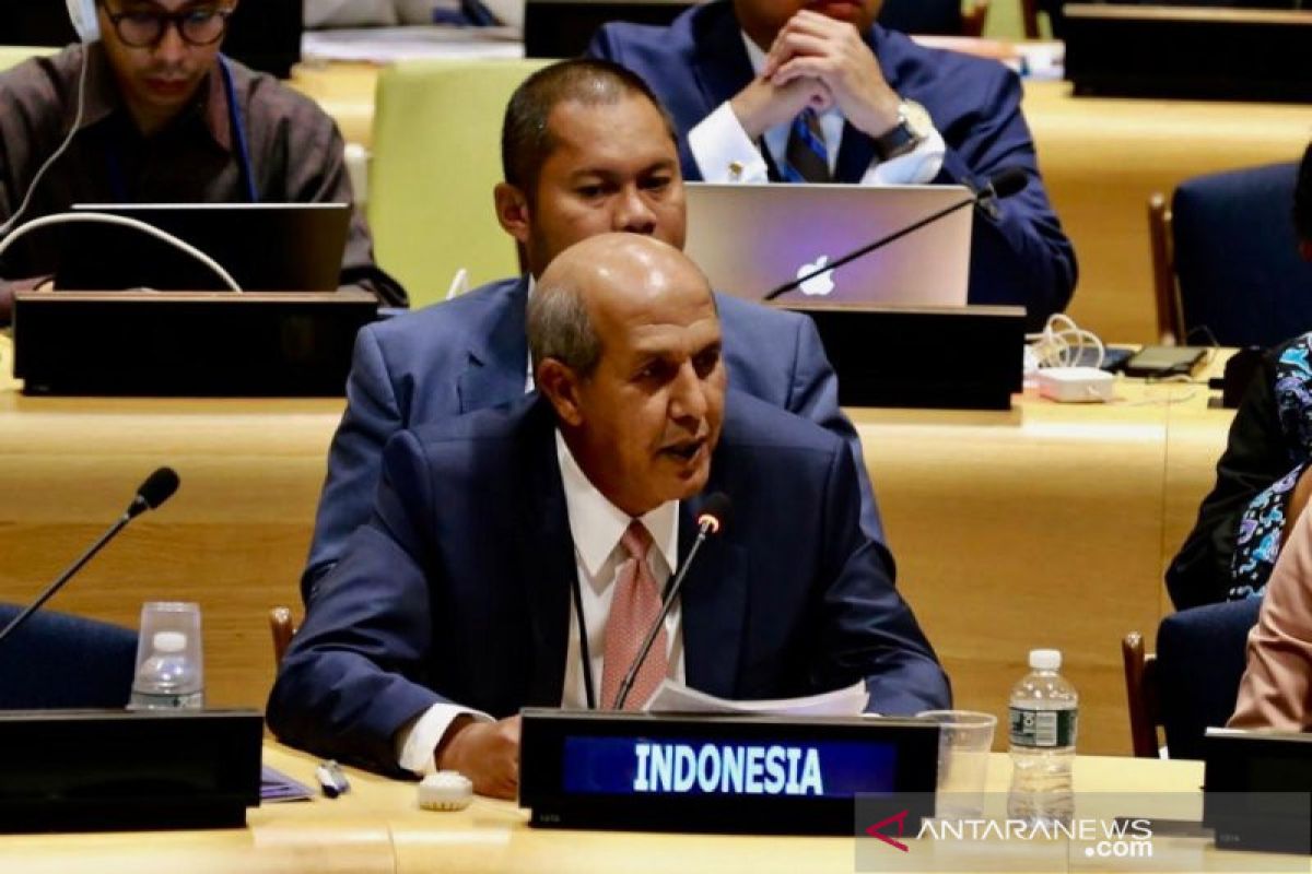 Indonesia jawab politisasi isu Papua oleh Vanuatu di Dewan HAM