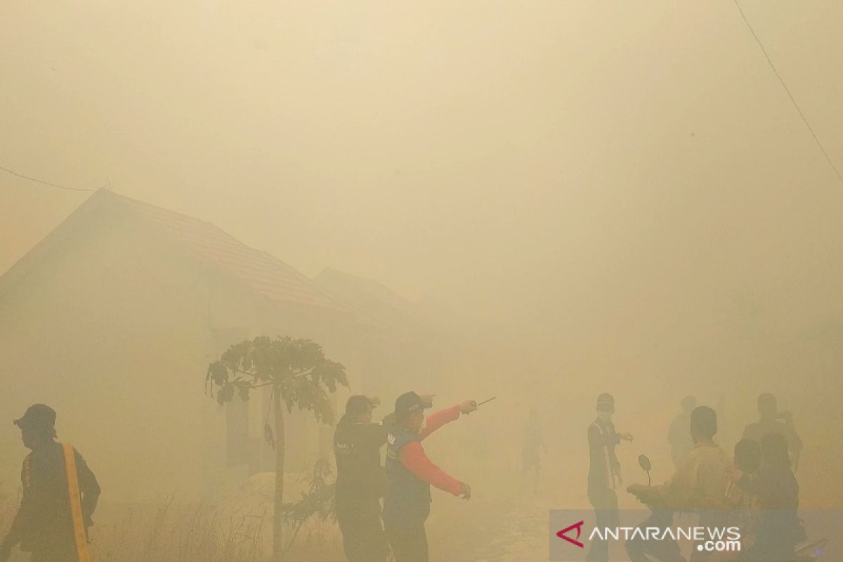 Pemprov lakukan sejumlah tindakan saat transisi pemulihan karhutla di Kalteng