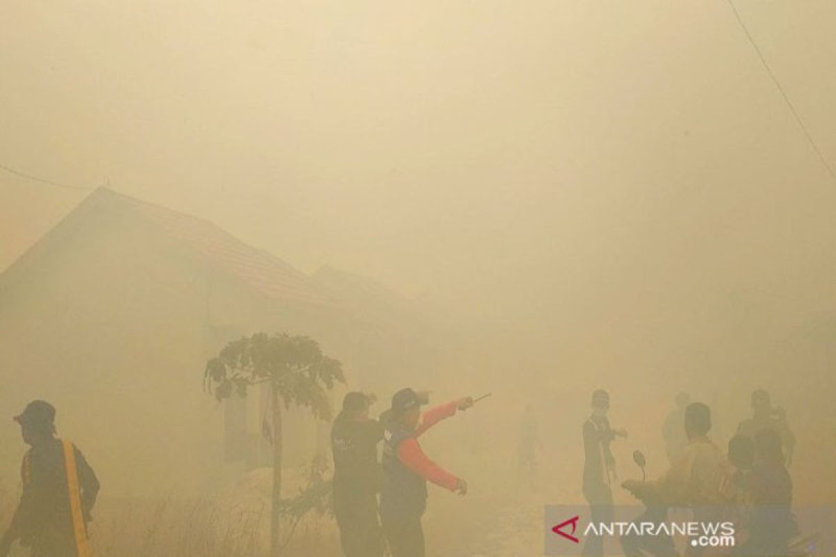 Kebakaran lahan nyaris hanguskan sekolah dan rumah warga Sampit