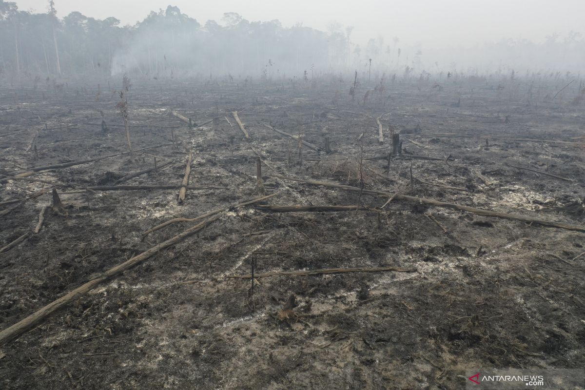 Pengamat sodorkan dua langkah menyelesaikan Karhutla