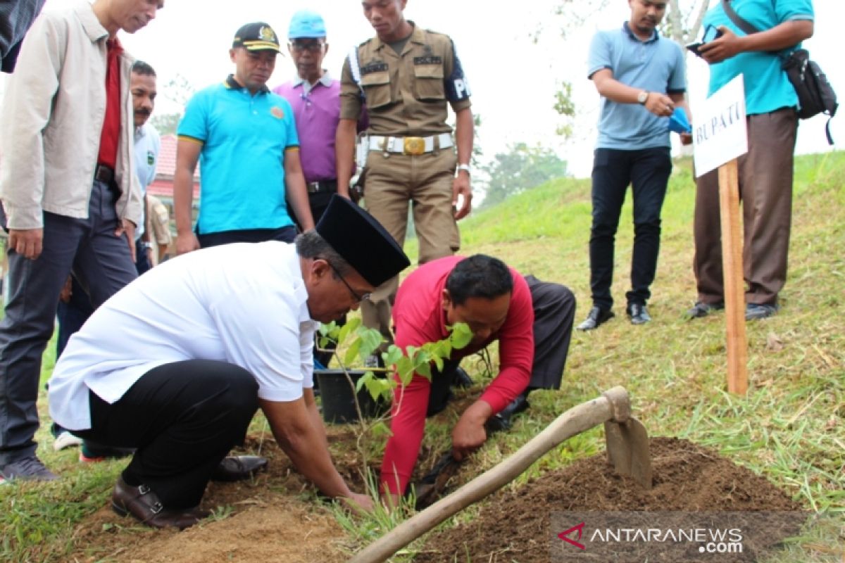 Peringati Hari Lingkungan Hidup, Pemkab Solok tanam pohon Andalas