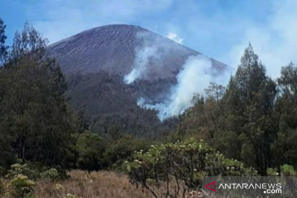 Kebakaran hutan terjadi di jalur pendakian Gunung Semeru